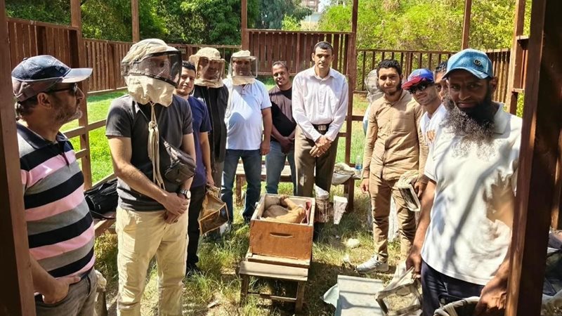 «الزراعة» تدرب المربين على تربية نحل العسل وتعظيم القيمة الاقتصادية للمنتجات النحلية