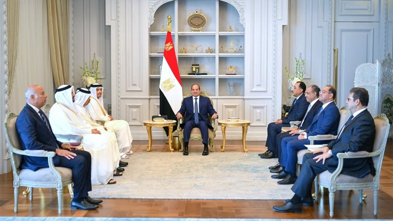 تفاصيل مباحثات السيسي ورئيس وزراء قطر (فيديو)