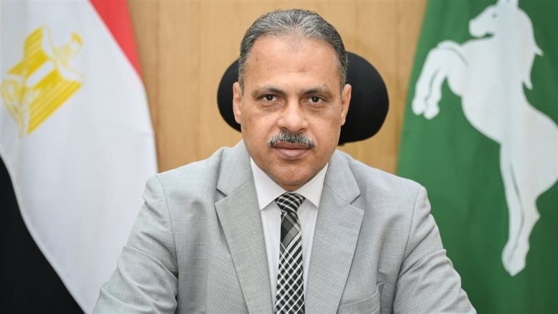 “ذاكرة الشرقية” تتجاوز 825 ألف ملف.. وأرشفة 8564 وثيقة خلال يوليو