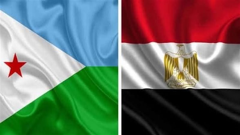 بدائل وسلع مصرية جديدة بالأسواق الجيبوتية، مبادرة ناجحة للتمثيل التجاري لتعزيز الصادرات