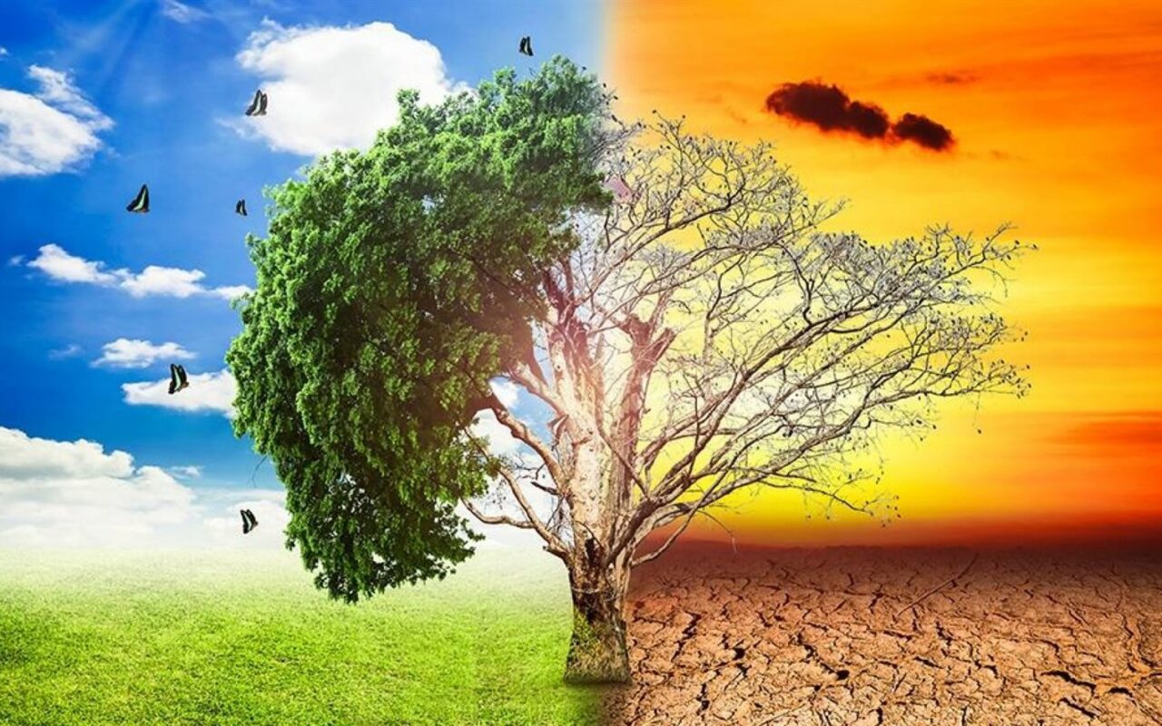 رئيس حزب البيئة العالمي يحذر: ارتفاع حرارة المحيطات ينذر بتدهور بيئي عالمي