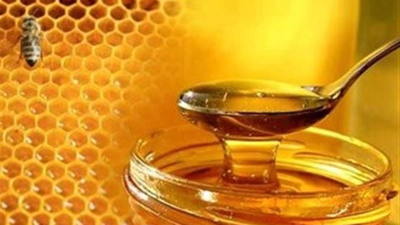 الزراعة تدرب المربين على أحدث أساليب تربية نحل العسل