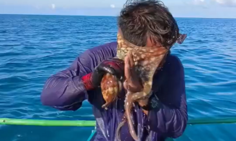 أخطبوط يلتصق بوجه صياد.. والمشهد يشعل مواقع التواصل