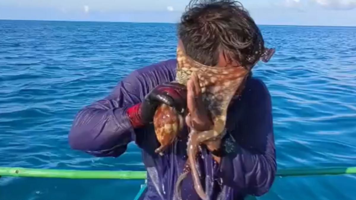 أخطبوط يلتصق بوجه صياد.. والمشهد يشعل مواقع التواصل