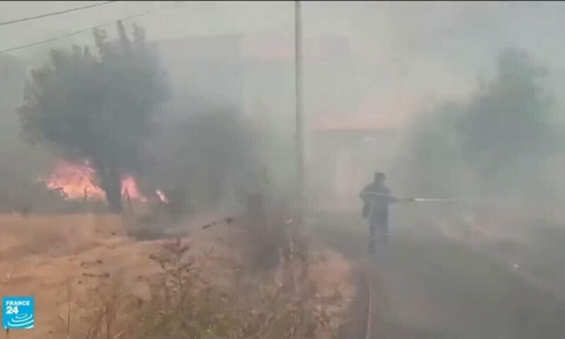 الجزائر: حرائق غابات واسعة في عدة ولايات تخلف 12 قتيلا وعشرات المصابين