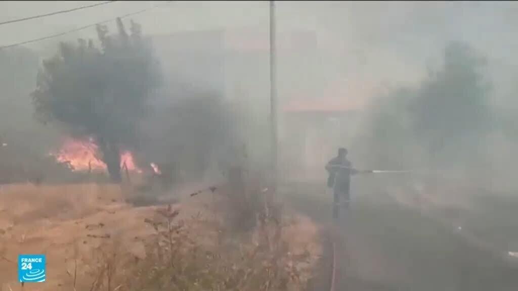 الجزائر: حرائق غابات واسعة في عدة ولايات تخلف 12 قتيلا وعشرات المصابين