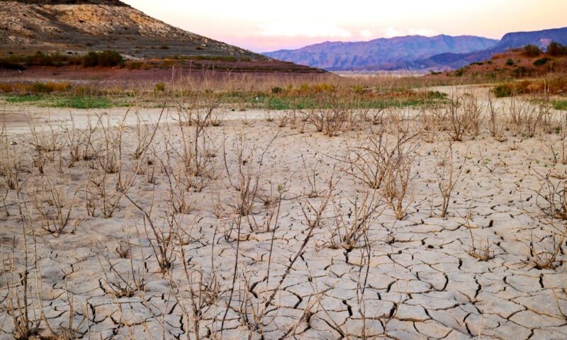 شركة تأمين زراعي تحذر: الجفاف وموجة الحر يكبدان الزراعة النمساوية خسائر مليار يورو