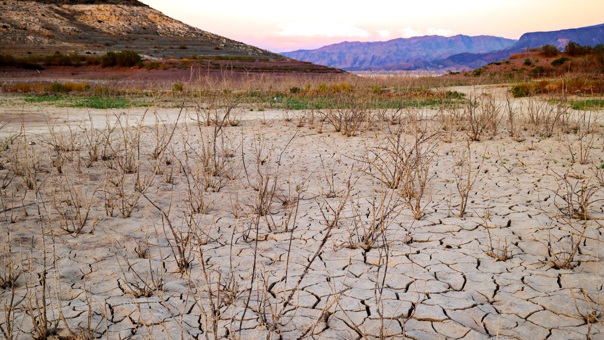 شركة تأمين زراعي تحذر: الجفاف وموجة الحر يكبدان الزراعة النمساوية خسائر مليار يورو