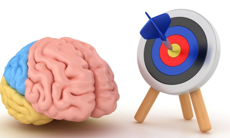 الأوركسين.. مادة كيميائية تدفع الإنسان لتحقيق أهدافه