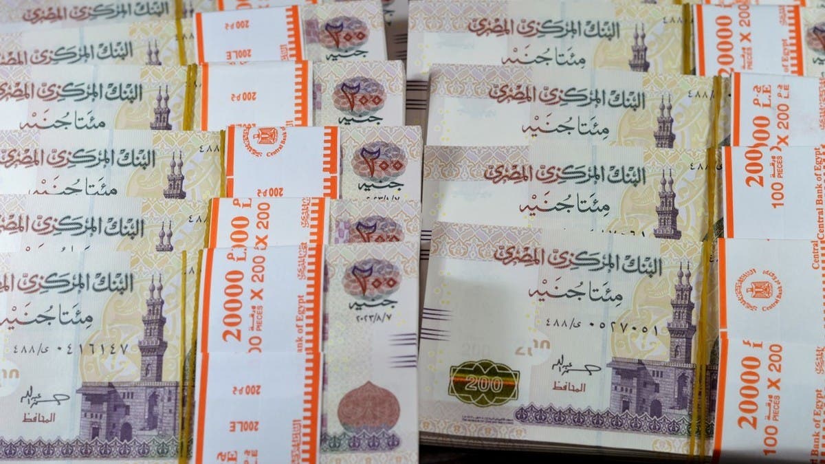 عوائد صناديق استثمار مصرية تتجاوز 80% خلال سنة.. لم تمنع ظاهرة “المستريح”
