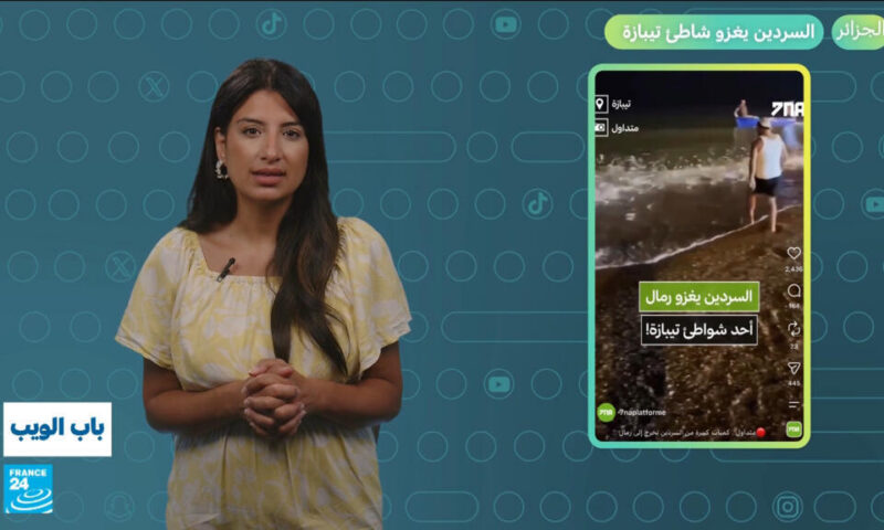 الجزائر.. السردين يغزو شاطئ تيبازة