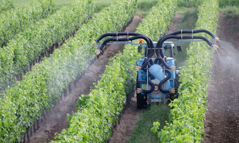 مزارعون ألمان يطالبون الحكومة بمساعدات أكبر وأسرع لمواجهة تغير المناخ
