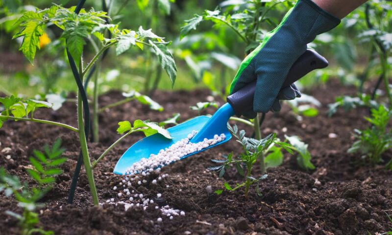 أميركا تستقبل أول شحنة أسمدة مغربية بعد تعليق الرسوم التعويضية