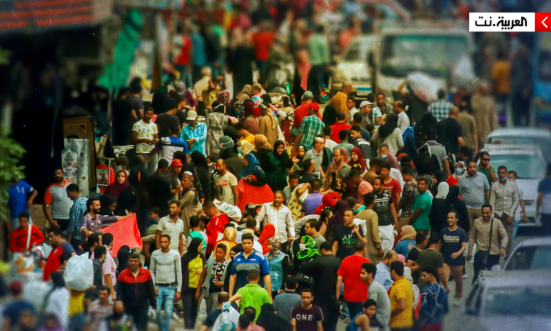 “كراكون.. باشا.. أوضة”.. أصل كلمات ينطقها المصريون يومياً