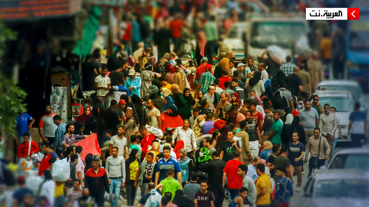 “كراكون.. باشا.. أوضة”.. أصل كلمات ينطقها المصريون يومياً