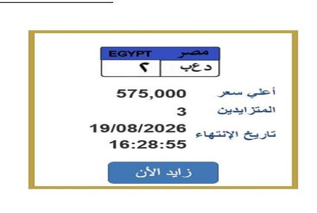 سعرها تخطى نصف مليون جنيه.. خطوات التزايد على لوحة سيارة مميزة
