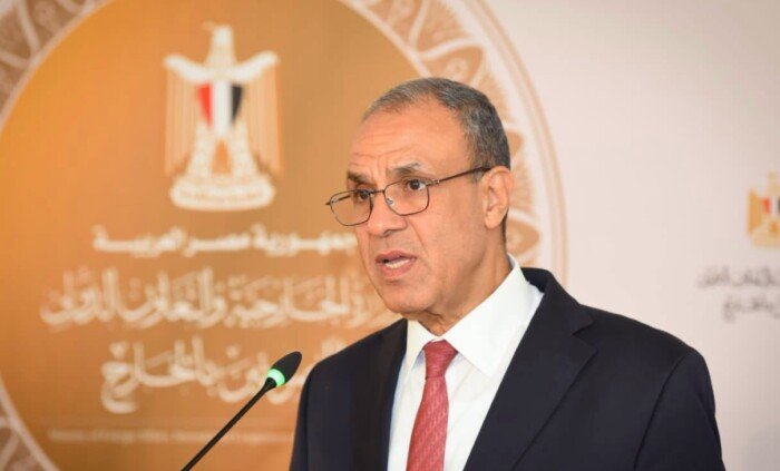لإنجاز الخدمات القنصلية رقميا.. «الخارجية» تدشن موقعا إلكترونيا للمصريين بالخارج