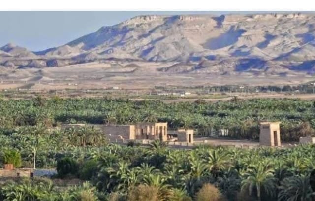 ثورة يوليو.. بعث جديد لواحات مصر