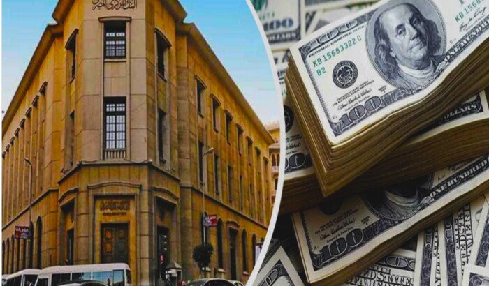 توقعات اجتماع البنك المركزي.. خبير: تجاوز الدولار 50 جنيهًا يرجّح تثبيت الفائدة اليوم