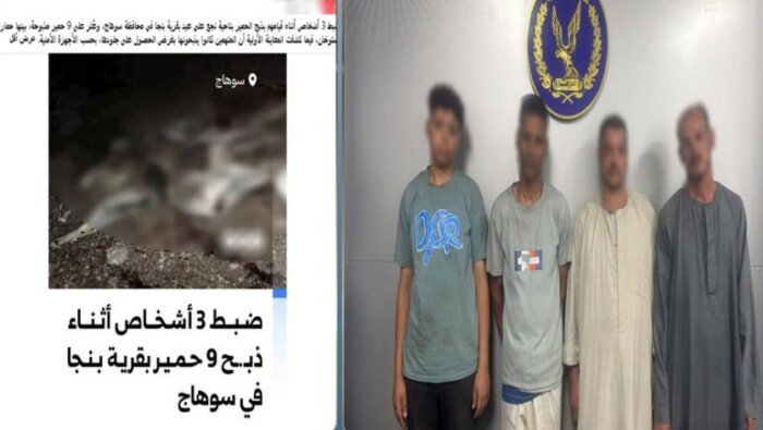 كشف ملابسات ذبح «الحمير» بجوار مصرف مائي بسوهاج