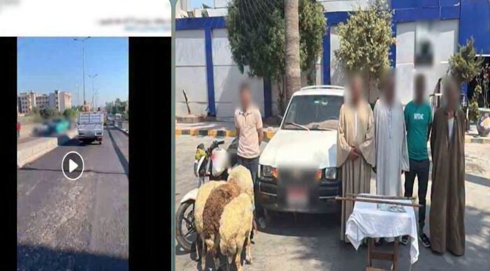 بعد انتشار الفيديو.. كشف ملابسات مطاردة شخص لسيارة في الإسكندرية
