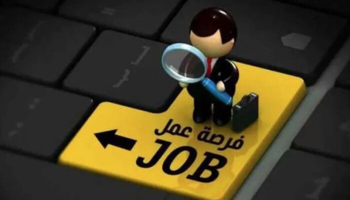 وظائف خالية برواتب 11 ألف جنيه في المحافظات.. الشروط والتخصصات المطلوبة