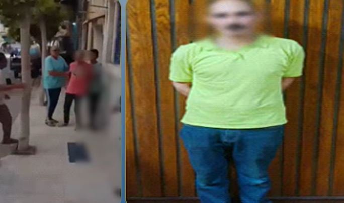 بسبب تربية «الكلاب».. ضبط المتهم بالتعدي على سيدة بالإسكندرية| فيديو