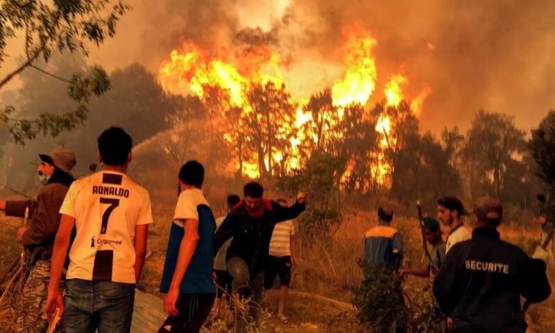 حرائق الجزائر.. آخر تحديث لعدد الضحايا وتبون لا يستبعد فعلا إجراميا ورائها