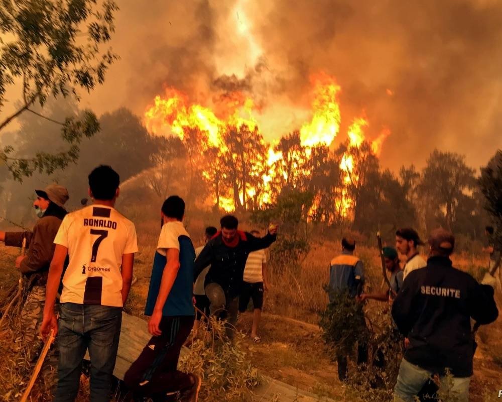حرائق الجزائر.. آخر تحديث لعدد الضحايا وتبون لا يستبعد فعلا إجراميا ورائها