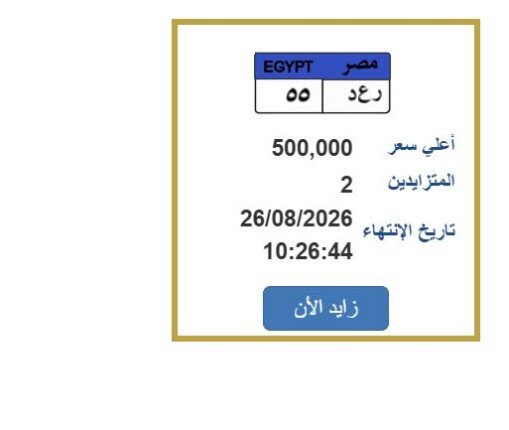 سعرها نصف مليون جنيه.. مزايدة نارية على لوحة سيارة مميزة