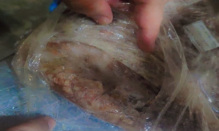 التحفظ على أسماك فاسدة بمطعم شهير و45 كيلو «مشبك » مجهول المصدر ببورسعيد