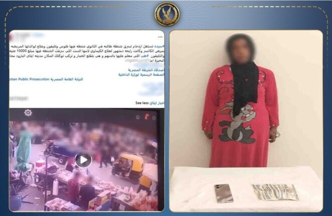 ضبط المتهمة بسرقة حقيبة فتاة بالبحيرة