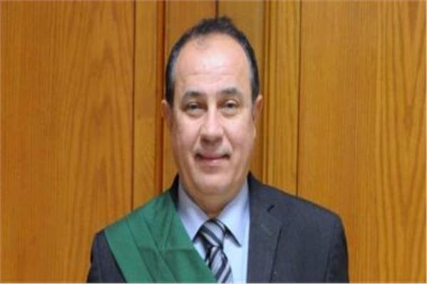 تأجيل محاكمة 12 متهمًا في «خلية اللجان الإدارية بالتجمع»