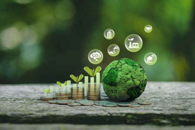 رؤية مصر 2030 والاقتصاد الأخضر: الاتحاد المصري للتأمين يقود التحول نحو سندات الطبيعة