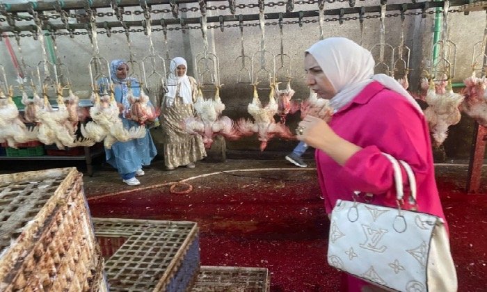 «تموين الشرقية» يضبط 2 طن لحوم مجهولة المصدر داخل مجزر بمنيا القمح