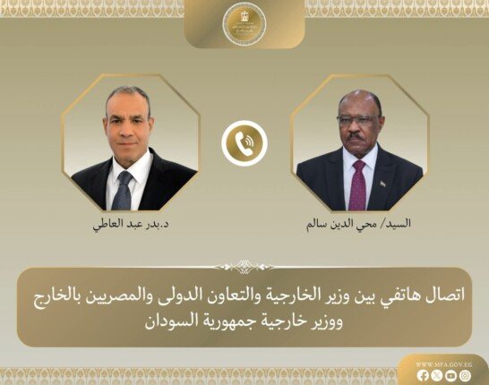 وزير الخارجية يؤكد على ثوابت الموقف المصري الداعم لوحدة وسيادة السودان