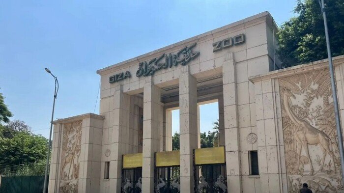 موعد افتتاح حديقة الحيوان بالجيزة.. بكام التذكرة بعد التجديد؟
