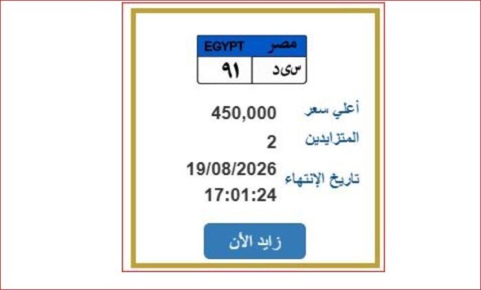 اليوم آخر موعد.. مزاد لوحة «س ي د 91» يصل إلى 450 ألف جنيه