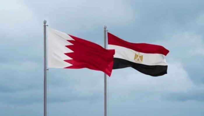 المركزي للإحصاء: حجم التبادل التجاري بين مصر والبحرين تخطى 300 مليون دولار خلال 2025