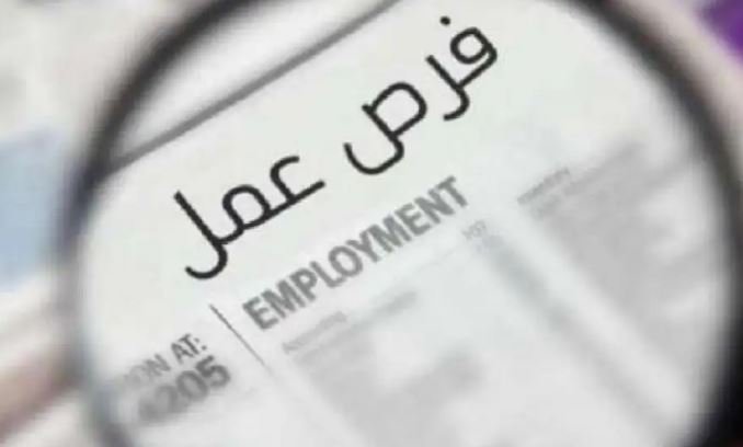 بمرتبات تصل 30 ألف جنيه.. «العمل» تعلن توافر 1140 وظيفة شاغرة