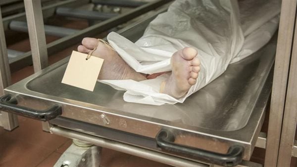 اعتقد أنه وراء فصله.. تفاصيل مصرع مدير مدرسة على يد عامل بالمعادي