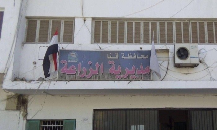 «زراعة قنا»: صرف 580 ألف شكارة أسمدة للموسم الصيفي حتى الآن