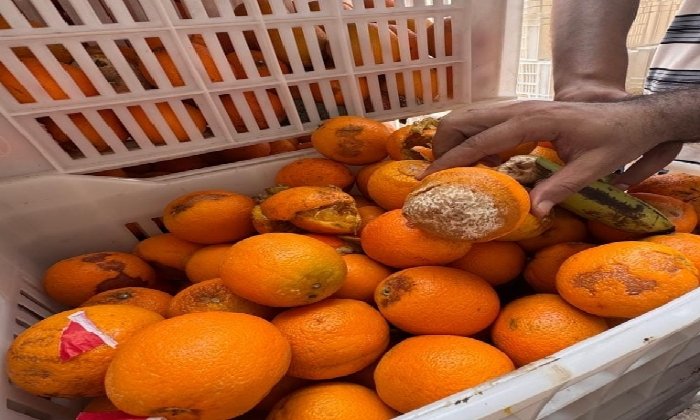 ضبط 7 أطنان دقيق و5 من البرتقال الفاسد في حملة تموينية بالشرقية