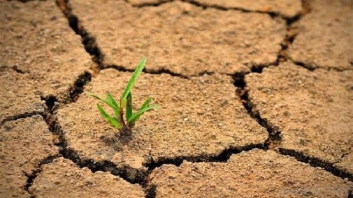 من الرياض الى منغوليا! مؤتمر cop 17 يبحث حلول التصحر.. ومعركة التمويل