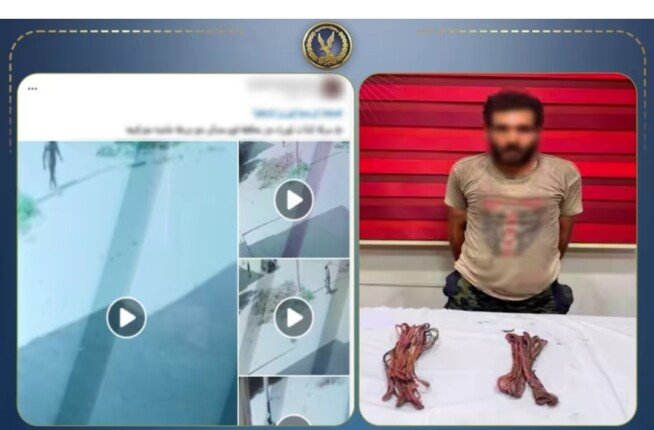 ضبط المتهم بسرقة كابلات الكهرباء الخاصة بأعمدة الإنارة بالفيوم