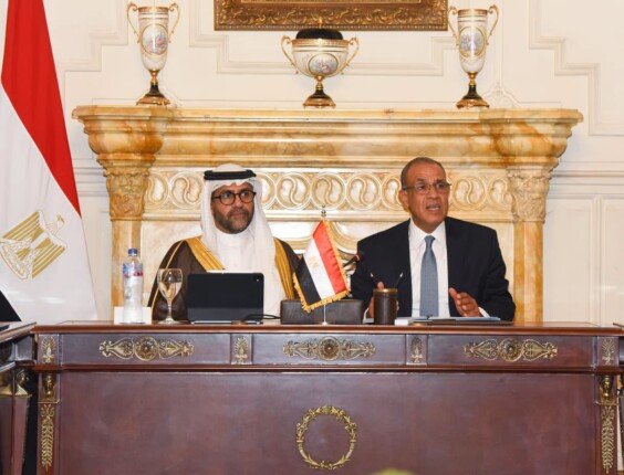 وزير الخارجية يؤكد الحرص على دعم نشاط الشركات المصرية في إفريقيا