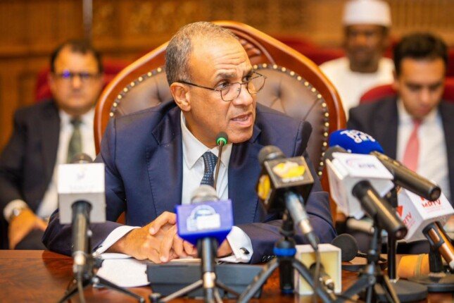 وزير الخارجية: نسعى لتحويل العلاقات مع تشاد إلى استثمارات وفرص عمل