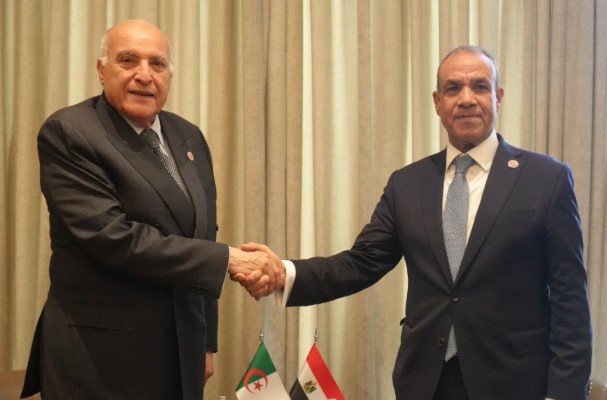 وزيرا خارجية مصر والجزائر يؤكدان أهمية الحفاظ على وحدة الدولة الليبية