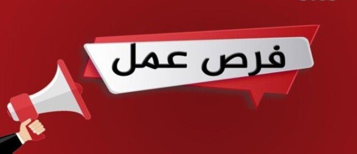 «وظائف لمن فوق 40 سنة».. كيف تستفيد من المبادرة للحصول على فرصة عمل؟