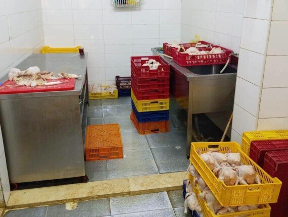 ضبط 200 كيلو لحوم فاسدة ومواد كيميائية خطرة في حملات مكثفة بالمنيا